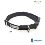 Pet Glam-LOKI-Dog Collar LARGE Size Medium Large Dogs