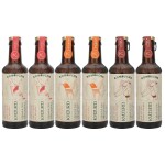 Kultur'd Kombucha - Apple Cinnamon, Peach, Coffee Orange | 220 ml(Pack of 6) | Fizzy Fermented Tea