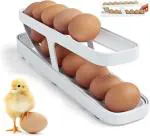 RK BROTHERS GROUP 2-Tier Rolling Egg Dispenser for 12-14 Eggs, Space-Saving and Durable Egg Storage Solution with Gravity-Fed Design, Ideal for Fridge and Pantry, Egg Storage Stray(pack of 1)