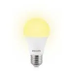 Philips 12W E27 Led Bulb, Pack Of 1, (929001176214)