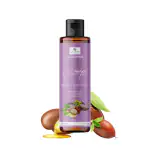GLAM HERBS Argan Oil Shampoo With Jojoba Oil for Frizzy Hair | Helps Control Hair Fall & Promotes Hair Growth | Sulphate & Paraben Free | 200 ml