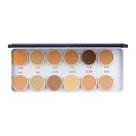 C2P PROFESSIONAL MAKEUP COVER & CONCEAL DERMA BASE PALETTE (METAL) - 28 g