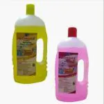 EverStore FLOOR CLEANER LYZOL 500ML PACK OF 2 (500 ml)