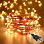 Desidiya Copper Fairy String Lights With Usb Cable For Home Decoration (10 Meters)