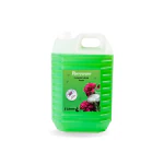 Parryware Floorclean Disinfectant Floor Cleaner Passion Fragrance - 5L Pack