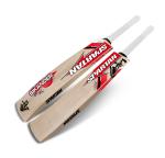 SPARTAN Sikander 3000 Kashmir Willow Bat Size-5