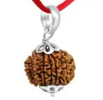 Feel Touch Mart 11 Mukhi Rudraksha Genuine Gayarha Mukhi Eleven Face Bead Pendant Natural Nepal Bead Ekadash Rudraksha Lab Certified