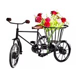 GLOBAL ART STORE Wood And Iron Mini Bicycle, Small Cycle, Mini Raksha, toy gift Small Flower Holder Showcase Cycle Gift For Kids And Decorating For Your Home 12 inch Black