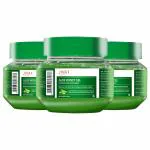 JIVA Aloe Honey Gel - Soothes & Moisturises Skin - 100 g Each - Pack of 3 (100 g)