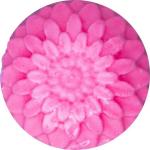 GREENECTAR Anti-Septic Goat Milk Soap 100g (pack of 4)