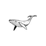 SIMPLY INKED Whale Temporary Tattoo, Designer Tattoo for all (Whale tattoo) Pack of 2