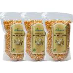 Farmbean Popcorn Seeds 1.5kg | Popping Kernels | Maize