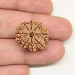 Feel Touch Mart Lab Certified 8 Mukhi Original and Natural Beads Nepal Rudraksha (Brown)