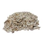 Vin Care Natural Sea Shells: 1500+ Pieces of Mixed Ocean Small Beach Spiral Seashell Craft Charms for Home Décor / Parties / Candling / Bridal Décor / Fish Tank and Vase Filler / Jewellery making