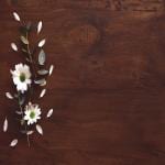 Dakshya Industries PVC Printed Dining Table Placemats Set of 6 - Brown