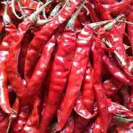 Pure Pik Guntur Teja Red Chilli Whole, Hot And Spicy, Teja Mirchi, Lavngi Mirchi, Jawari Mirchi, Red Chilli Whole, Dry Red Chilli Whole, 2 Kg