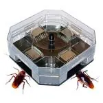 KANBI Cockroach Killer Trap Box Effective Roach Cockroach Trap Catcher Physical Capture Reusable and Eco-Friendly Traps Spiders Ants Catcher for Home, Office