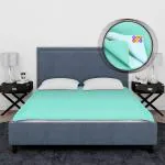 BeyBee Waterproof Rubber Sheet (Double Bed Size (260cm X 200cm) , Sea Green)