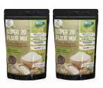 Rootz & Co. Healthy Flour Mix (600 GMS) (Pack of 2)(300 gm Each) - Gluten Free, Vegan & Multigrain High Protein Atta - with Blend of Grains, Oats, Cereals & Seeds