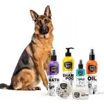Wagging Tails Pets Grooming Kit Combo for German Shepherd | Dog Shampoo+Massage Oil+Dry Bath+Paw Butter+Paw Spray | Made with Natural Ingredients | Head to Paw Gift Box- 5 in 1