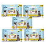The DDS Store Pet Wipes for Dogs and Cats Friendly Deodorizing Dog Wipes for Cleaning Face Butt Eyes Ears Paws Teeth 80 per Pack 5 Packets