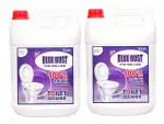 Bluebust Disinfectant toilet cleaner,Deep cleaning formula,Flush Away Grime 5 Litre Pack of 2