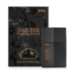 Girnar Elegant Classic Citrus Aromatic & Woody Scent Long Lasting Fragrance Magnetic Aroma Eau De Parfum Spray Bottle for men (30 ml)