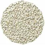 Taiyo Pluss Discovery Safflow Seed Birds Food For Grey Parrot Macaw Exotic Birds 1 kg