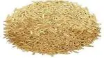 PLATONE Pusa Basmati::Paddy Seeds 1121::Rice Seeds for Sowing, Farming & Agriculture::5 KG(Pack Of1)
