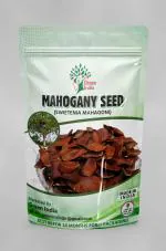 Green India Mahogany,Swietenia Mahogoni,Sky Fruit,Kadva Badam,Sugar Badam Tree Seeds_100 gm