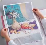 SEJASCOLLECTIONS Plastic Display Book File and Folder A3 Size 20 Leaf (Pack of 2) for Certificates, Transparent Sleeves Pocket, Display Presentation Files (Multi-Colors) (Set Of 2, Multicolor)