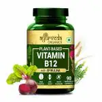 Ayurveda Organics Vitamin B12 Colalamin - 90 Capsules