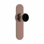 Ozone Antique Bronze Smart Lock with Google Assistant and Alexa Enabled without Wi-Fi Gateway