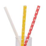 Hankley Assorted Paper Ecofriendly And Durable Designed Paper Straws 10 mm 10 inch Set of 100