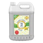 PaxAir Fresh Extra Strong Air Freshener DeOdorizer Spray (Citrus Blast), 5L