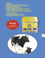 BUTACAL Prepare Animals Before Calving with PCM Pre-Colving Management, Complete Nutrition for Pregnant Animals | Big Pet Care Food supplement for Buffallo & Cows