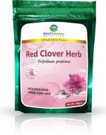 BestSource Herbal Red Clover Herb, Trifolium Patense, Nourishing Tea Pouch 100g