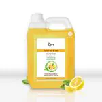 VRH Lemon Peel & Tulsi Sanitizer | Non-Sticky & Anti Bacterial | Kills 99.99% Germs Instantly 5Ltr