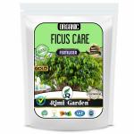 Rimi Garden Ficus Care, Essential Organic Fertilizer for Ficus Plant Growth with ++ Charged Growth Microbes (900 gm)
