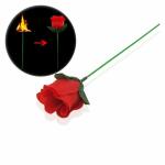 WIZERDY Tourch To Rose Magic Trick For Megician | Magic Show | Magic Kit | Flower Magic | Piece of 1