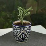 ARTYSTA BEAUTIFYING LIVES Multicolor Ceramic Turkish Indigo Painted Flower Pots for Garden