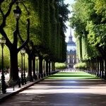 Love Creation A4 Size poster print for creative wall art- le-jardin-du-luxembourg-7058(Non Sticker)