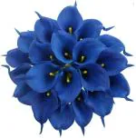 Elemntl Blue Calla Lily Flower Sticks (Pack Of 6)