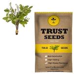 Trustbasket Multicolor GMO Free Tulsi Vegetable Seeds (1)