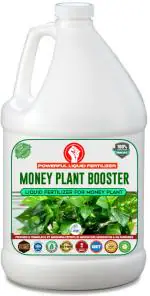 Erwon Money Plant Booster , Premium Essential Powerful Liquid Fertilizer for the Best Growth of Money Plants with Growth Nutrients and Charged Micro-Organism Fertilizer (0.5 kg, Liquid)