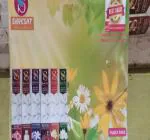 SHRESHT TECHNOLOGIES INC Rose Intimate Champa Jasmine Kesar Sandal (pack of 24)-AAA5