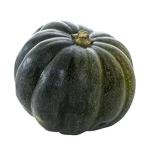 Nema Des Moines Squash Seeds-20Pcs