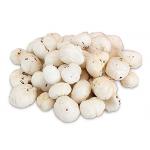 Aryionuts Fox Nuts Super Jumbo Premium Handpicked Lotus Seeds Phool Makhana Lotus Seed Fox Nuts 500g