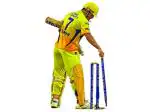 Divinedesigns Multicolor Vinyl Ms Dhoni Sticker - 41 X 69 Cm