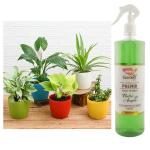 Adasca Organic Liquid Fertilizer for overall Growth of Plants | 1000 MI| Nutritions For Fruit & Flowers | Liquid Fertiliser for Home Garden Indoor Outdoor Plants & Fruits